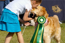 Golden Retriever Club Du Québec